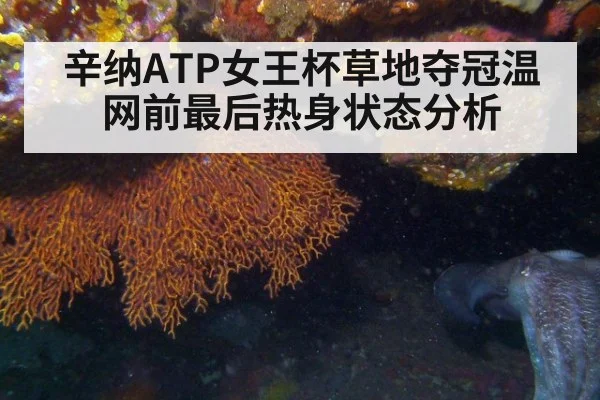 辛纳ATP女王杯草地夺冠温网前最后热身状态分析