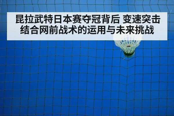 badminton net shot
