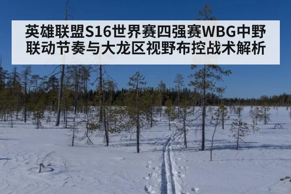 英雄联盟S16世界赛四强赛WBG中野联动节奏与大龙区视野布控战术解析